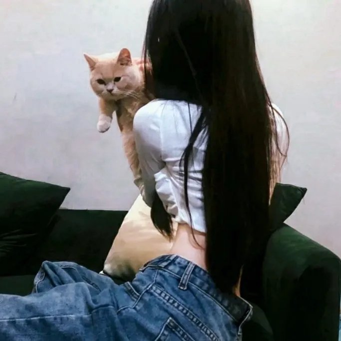 堡垒2019